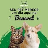 Benevet Pet Shop em Santo André