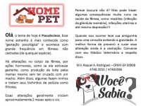 Home Pet - Pet shop em Mogi das Cruzes